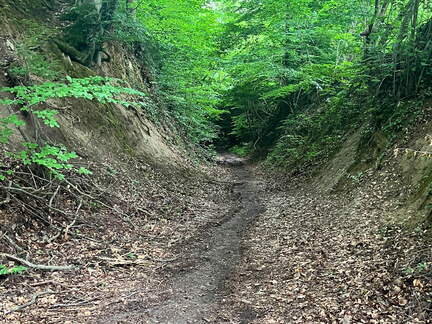 22-06-06 13-59-57 1066